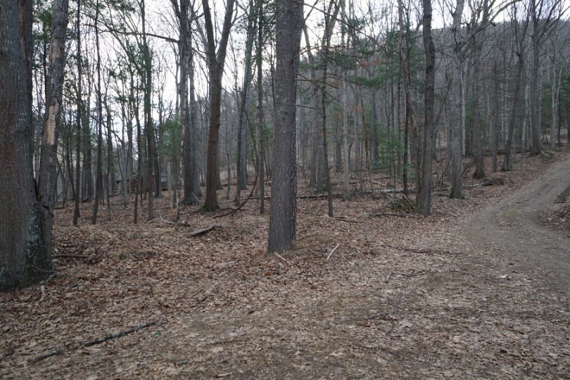 787 Peters Mtn. Lane, Upper Tract, West Virginia 26866, ,Land To Build,SGR,Peters Mtn. Lane,1101