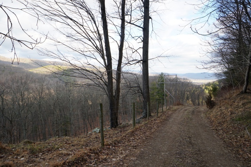 787 Peters Mtn. Lane, Upper Tract, West Virginia 26866, ,Land To Build,SGR,Peters Mtn. Lane,1101