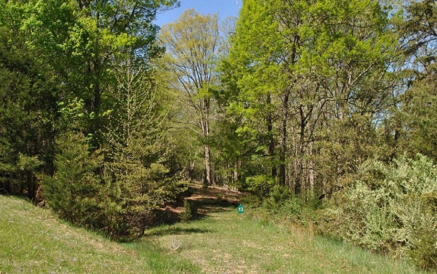 Lot #13 Yeager Ct SW, Petersburg, West Virginia 26847, ,Land To Build,SGR,Yeager Ct SW,1017