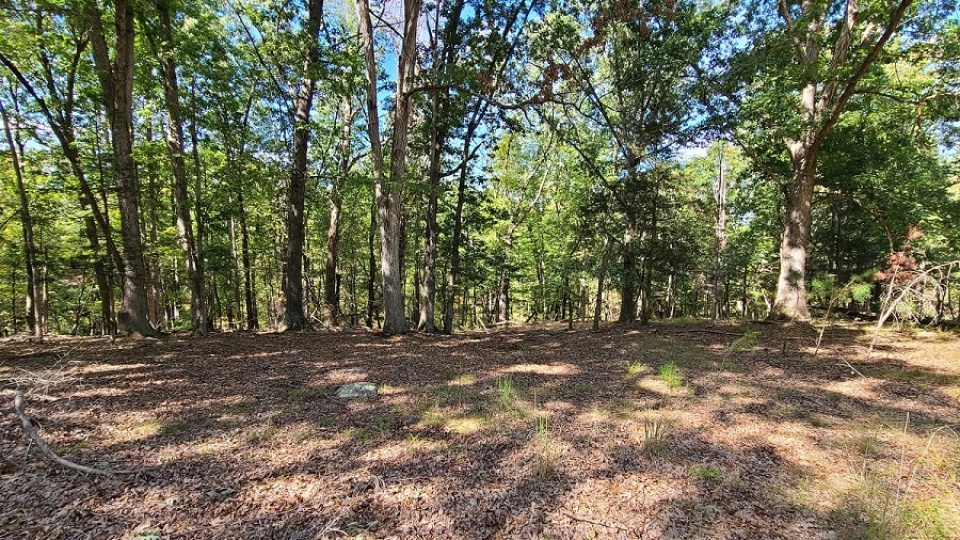 Lot #13 Yeager Ct SW, Petersburg, West Virginia 26847, ,Land To Build,SGR,Yeager Ct SW,1017