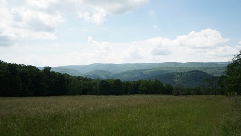 Sandy Ridge Off of RT 22, Franklin, West Virginia 26807, ,Farm Land,SGR,Off of RT 22,1077