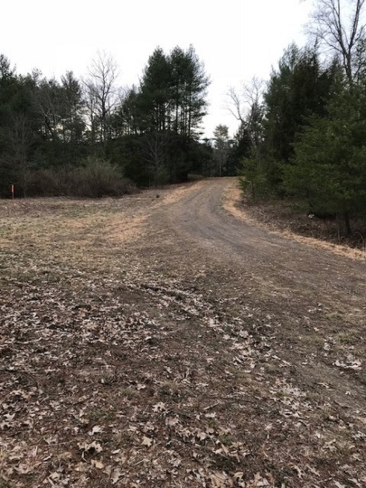 Country Acres Drive, Brandywine, West Virginia 26802, ,Land To Build,SGR,Country Acres Drive,1078