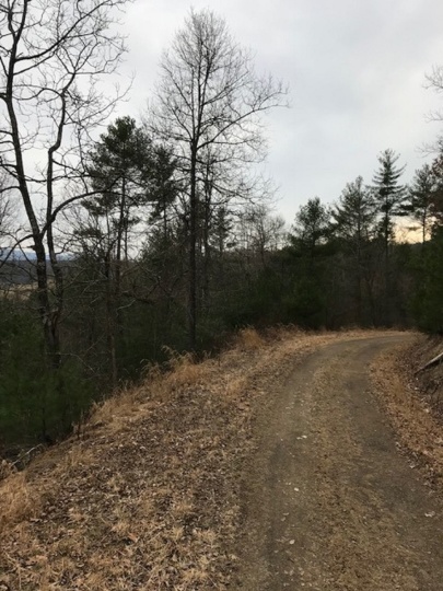 Country Acres Drive, Brandywine, West Virginia 26802, ,Land To Build,SGR,Country Acres Drive,1078