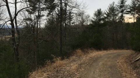 Country Acres Drive, Brandywine, West Virginia 26802, ,Land To Build,SGR,Country Acres Drive,1080